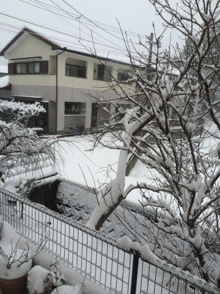 d0349370_09195870.jpeg