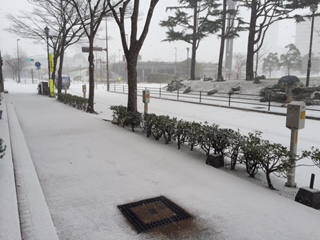 真っ白な世界。_b0112371_17431517.jpg