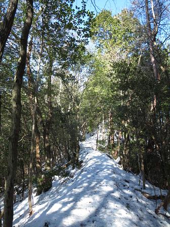 高沢山・大仏・本城山　　マロン君に会えました_f0302771_2058187.jpg