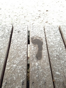 e0290872_21310262.jpeg