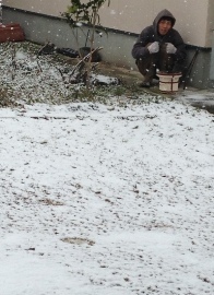 e0290872_21321004.jpeg