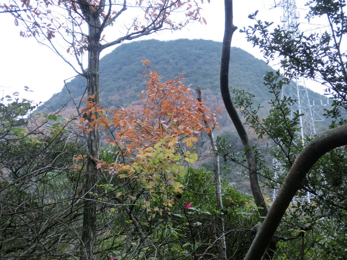 b0185573_10511495.jpg