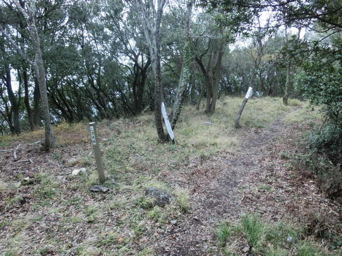 b0185573_15182740.jpg