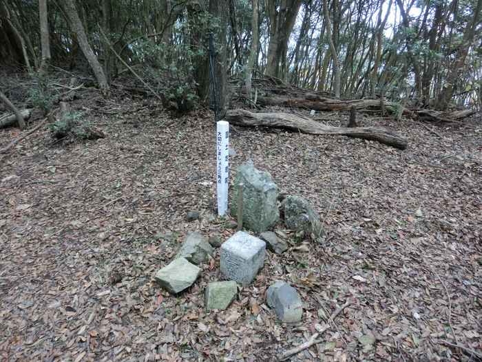 b0185573_1659102.jpg