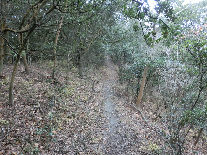 b0185573_173189.jpg