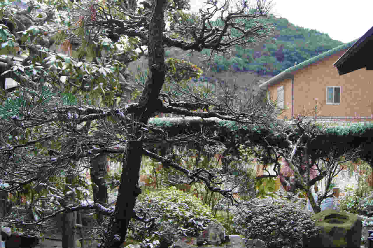 e0181373_21122979.jpg