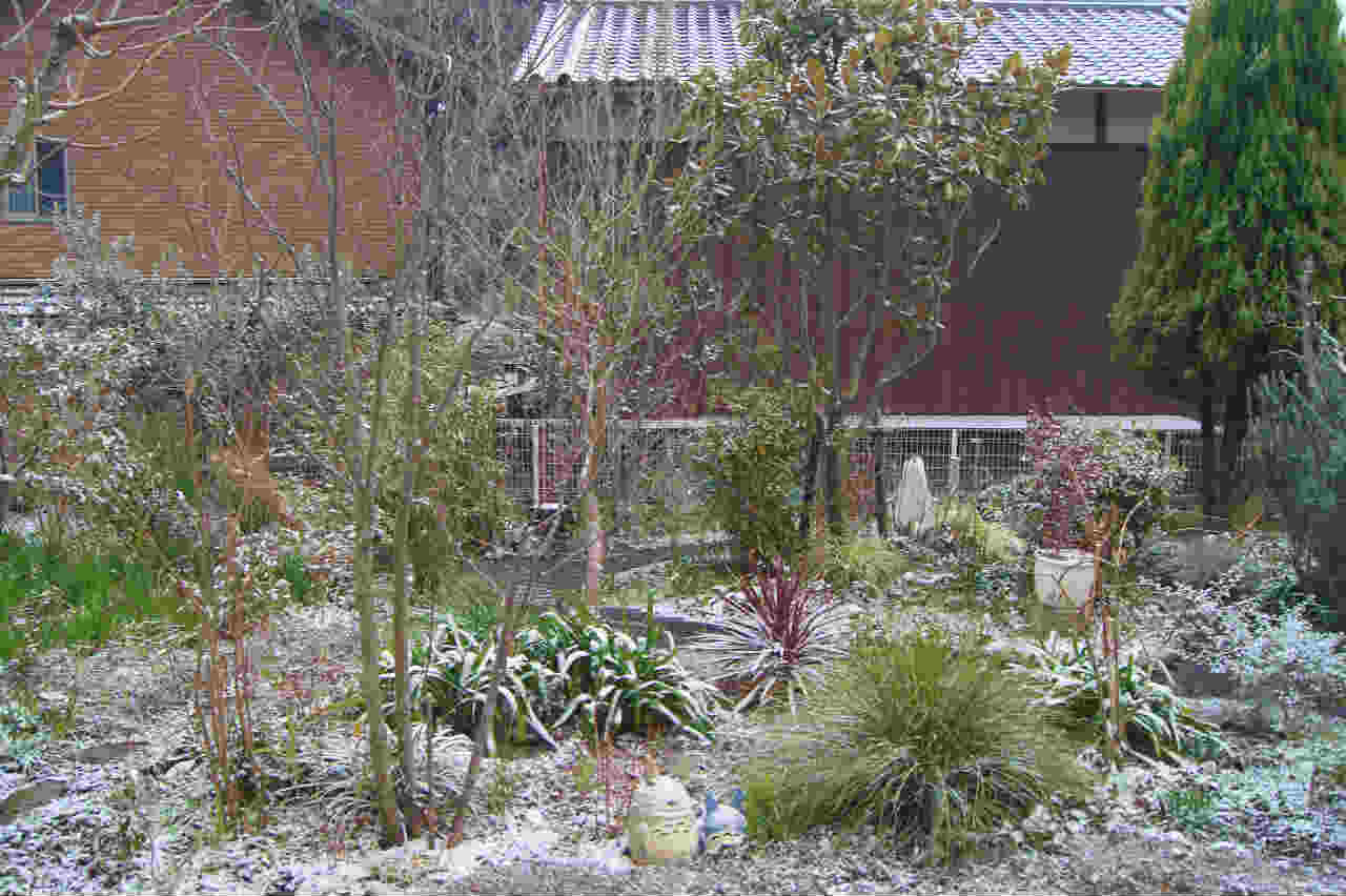 e0181373_2112917.jpg