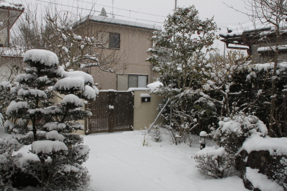 久しぶりの大雪_b0224178_21561727.jpg