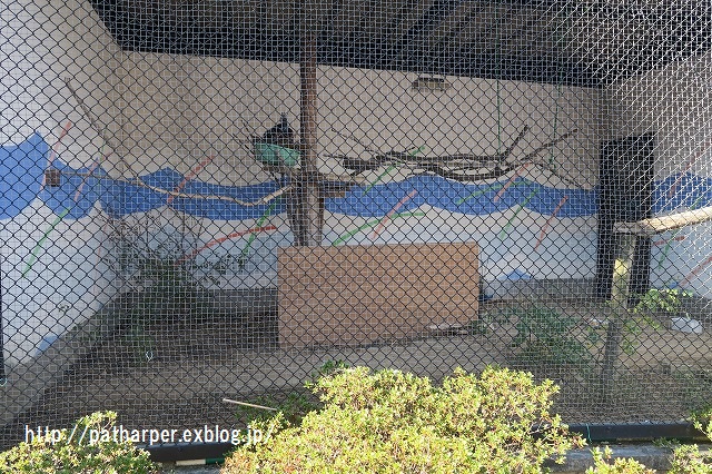 ２０１５年１２月　大牟田動物園　その２_a0052986_2223686.jpg