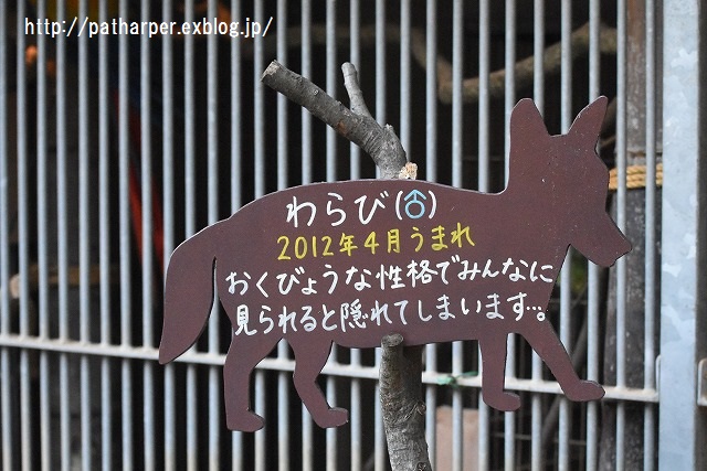 ２０１５年１２月　大牟田動物園　その２_a0052986_224143.jpg