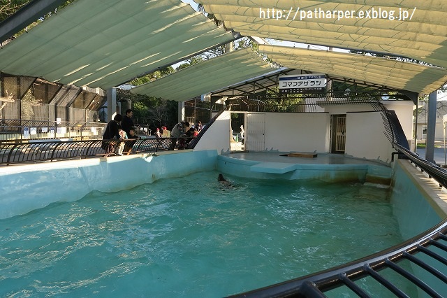 ２０１５年１２月　大牟田動物園　その２_a0052986_2244363.jpg