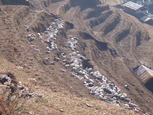 a0207588_19562531.jpg