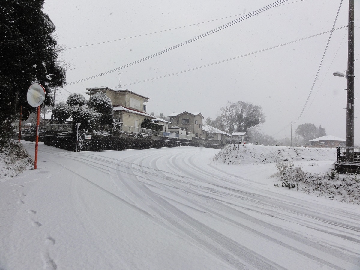 1月24日 大雪!!_e0174091_13010193.jpg