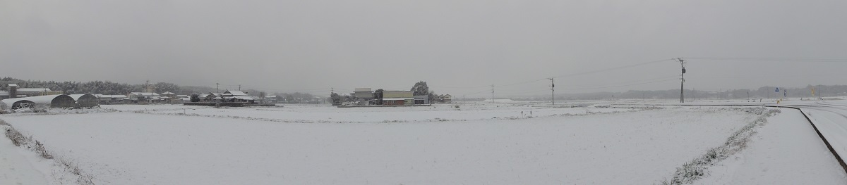 1月24日 大雪!!_e0174091_13011008.jpg