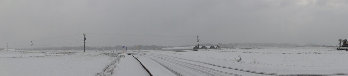 1月24日 大雪!!_e0174091_13011642.jpg