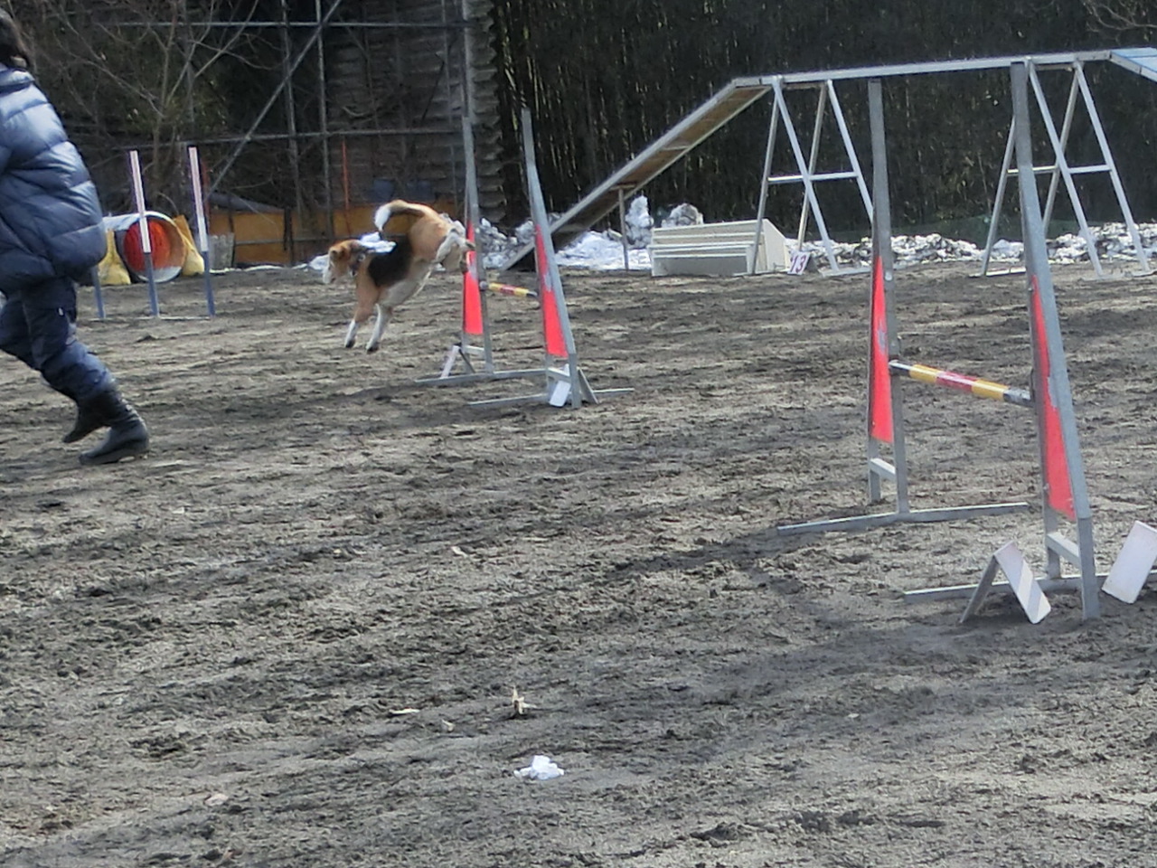 a0319693_945511.jpg