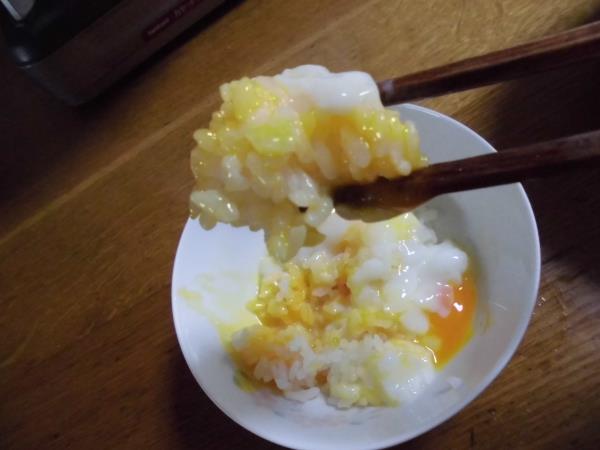 私の作った海老天そばと温玉かけごはん_c0118393_17494568.jpg
