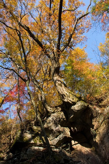 e0176993_09080208.jpg