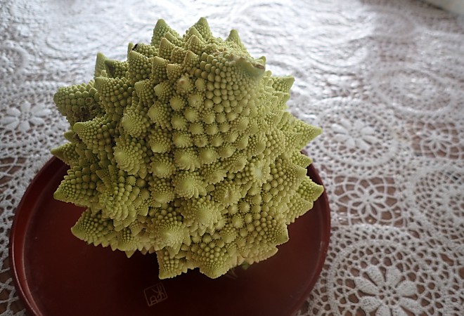 a0339396_13551175.jpg