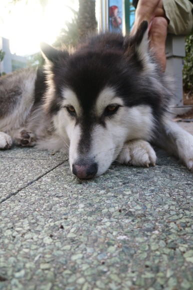 b0275998_16041469.jpeg