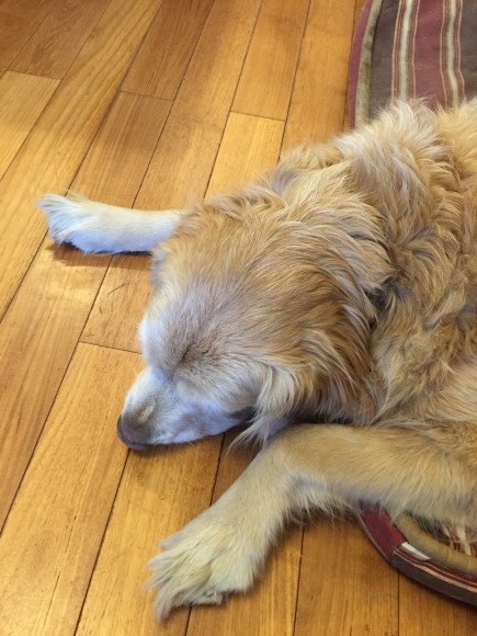 b0275998_16094197.jpeg