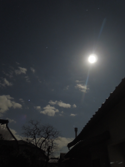 f0143299_59288.jpg
