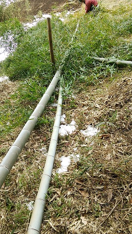 e0270403_1449542.jpg