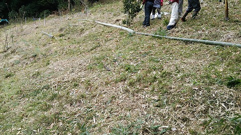 e0270403_14503646.jpg