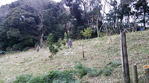 e0270403_14514510.jpg