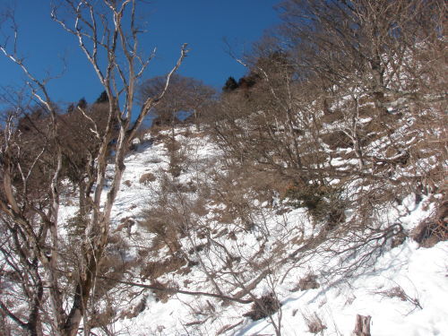 d0342206_17515316.jpg