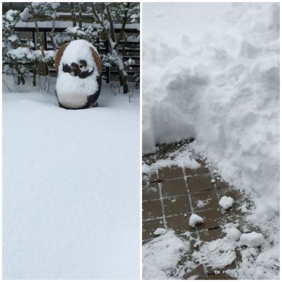 遂に来た冬将軍、雪もたっぷり連れて来ました_b0151911_11215831.jpg