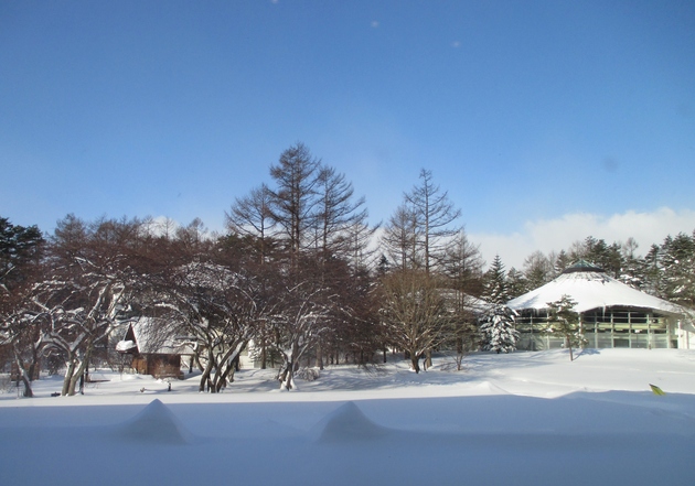 b0183111_1641259.jpg