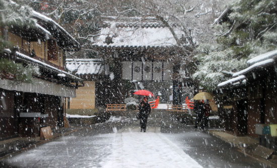 今宮神社　雪景色_e0048413_16182053.jpg
