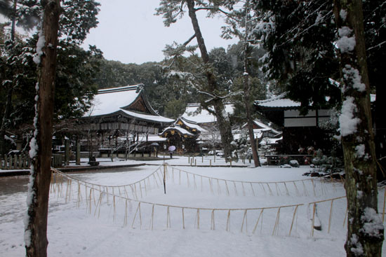 今宮神社 雪景色_e0048413_16183078.jpg