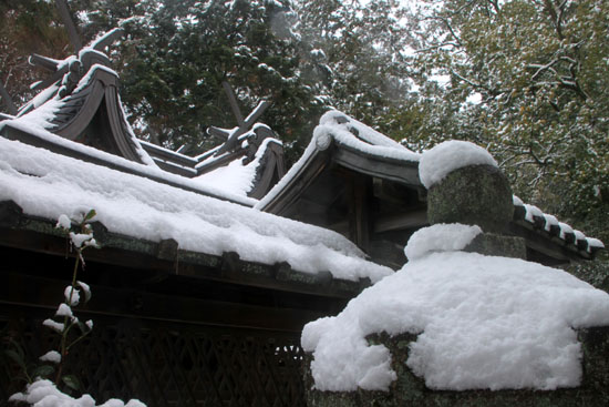 今宮神社　雪景色_e0048413_16191273.jpg