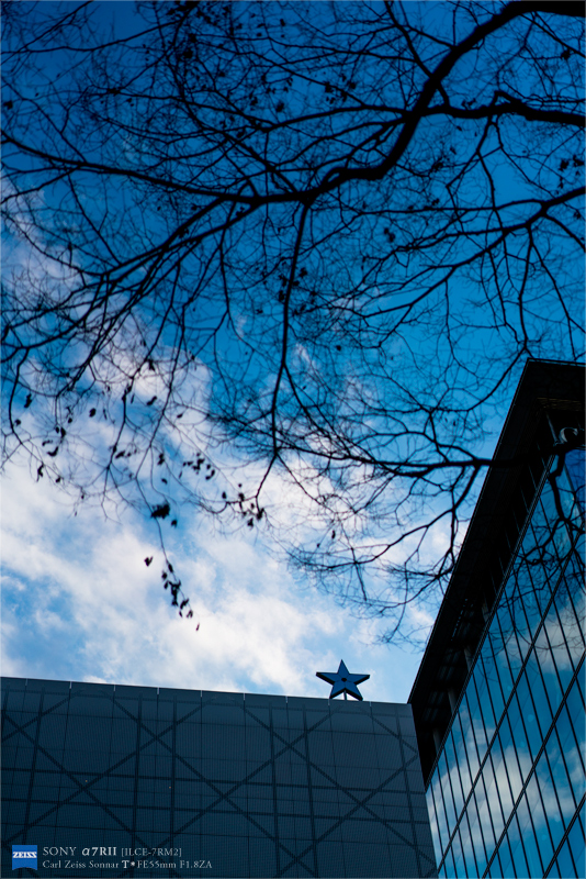 e0117517_12342335.jpg
