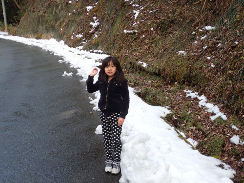 材割採集 YES or NO_a0315918_21014644.jpg