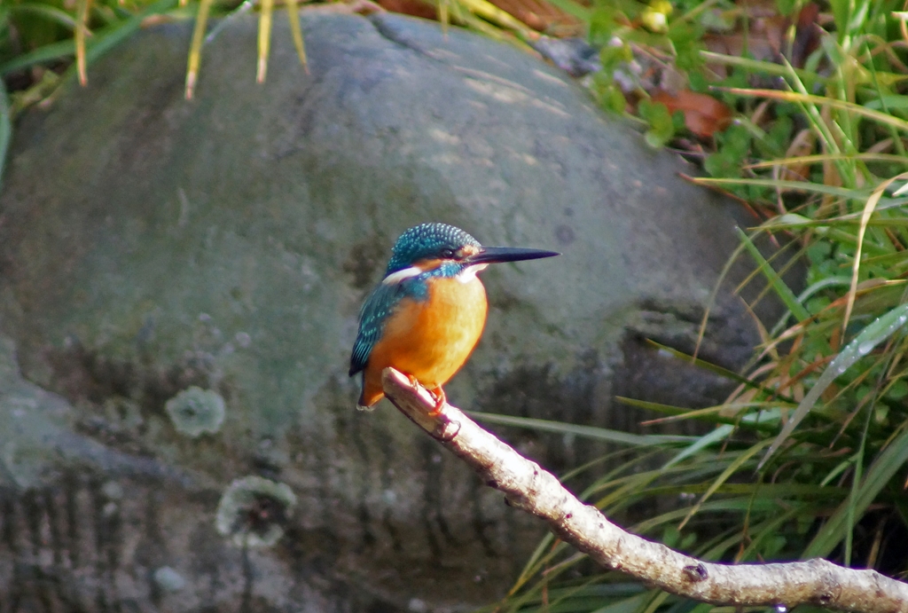 c0042418_8594549.jpg