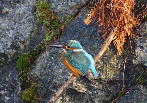 c0042418_914229.jpg