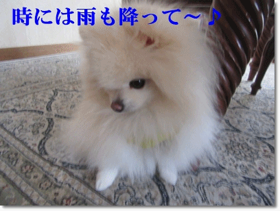 b0167519_1058645.gif