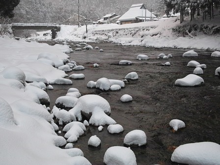 現在の積雪36cmで雪・・・・・朽木小川・気象台より_c0044819_7265313.jpg