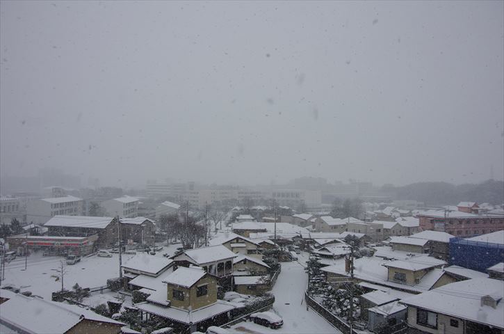 本日も大雪なり・・・_c0238519_16224086.jpg