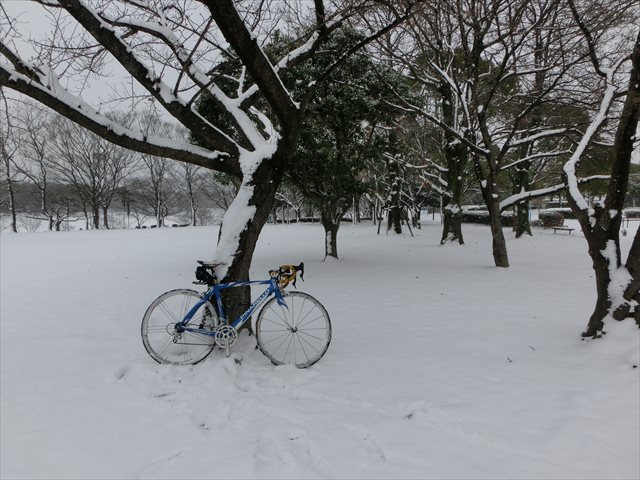 本日も大雪なり・・・_c0238519_16235542.jpg