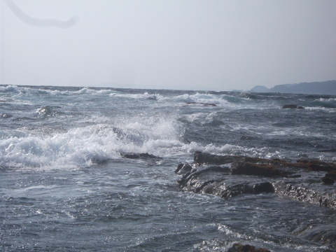 a0279321_17341363.jpg