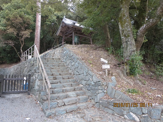 a0048823_1445875.jpg