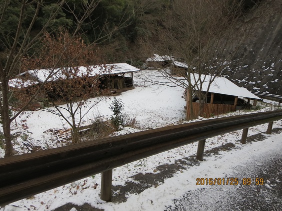 a0048823_15224876.jpg