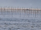 e0184224_13444406.jpg