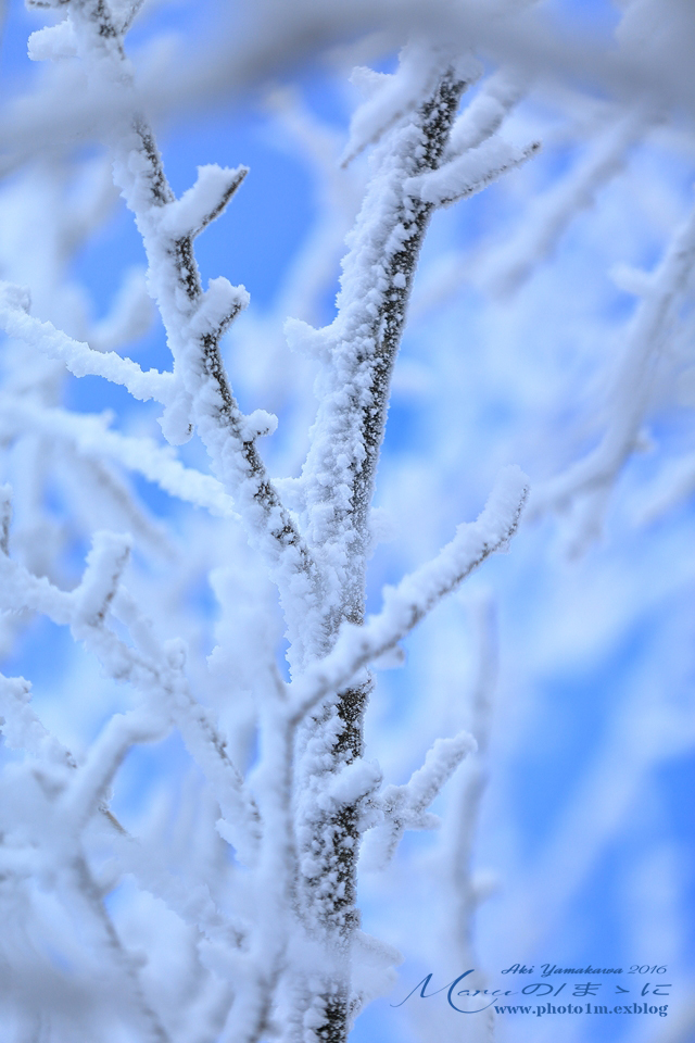 まゝに/雪山シリーズ10_d0342426_03353556.jpg