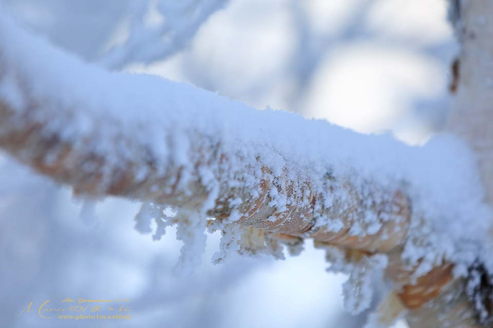 まゝに/雪山シリーズ10_d0342426_03353597.jpg