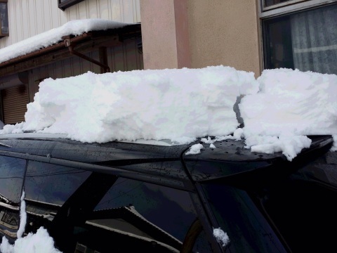 大雪でした_d0160127_20044508.jpg